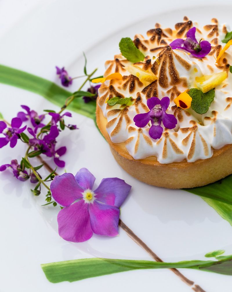 63c662ab46467cd42605d309__pd25256w2560h2560rframe_44d-p-800