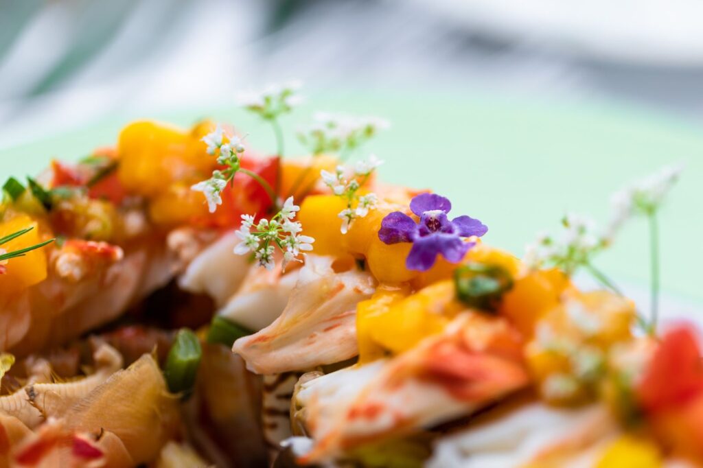 63c662cc199d4624c777e961__pd25252w2560h2560rframe_47e-p-1600