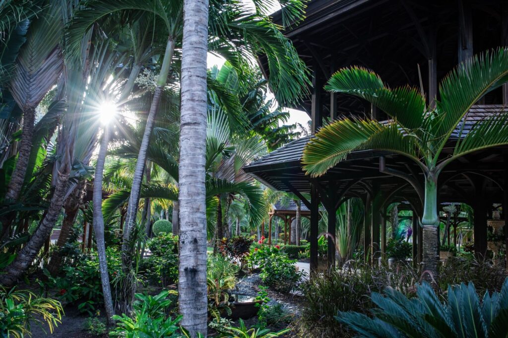 63c66b65da4f72b64a18e671__pd25048w2560h2560rframe_c37-p-1600