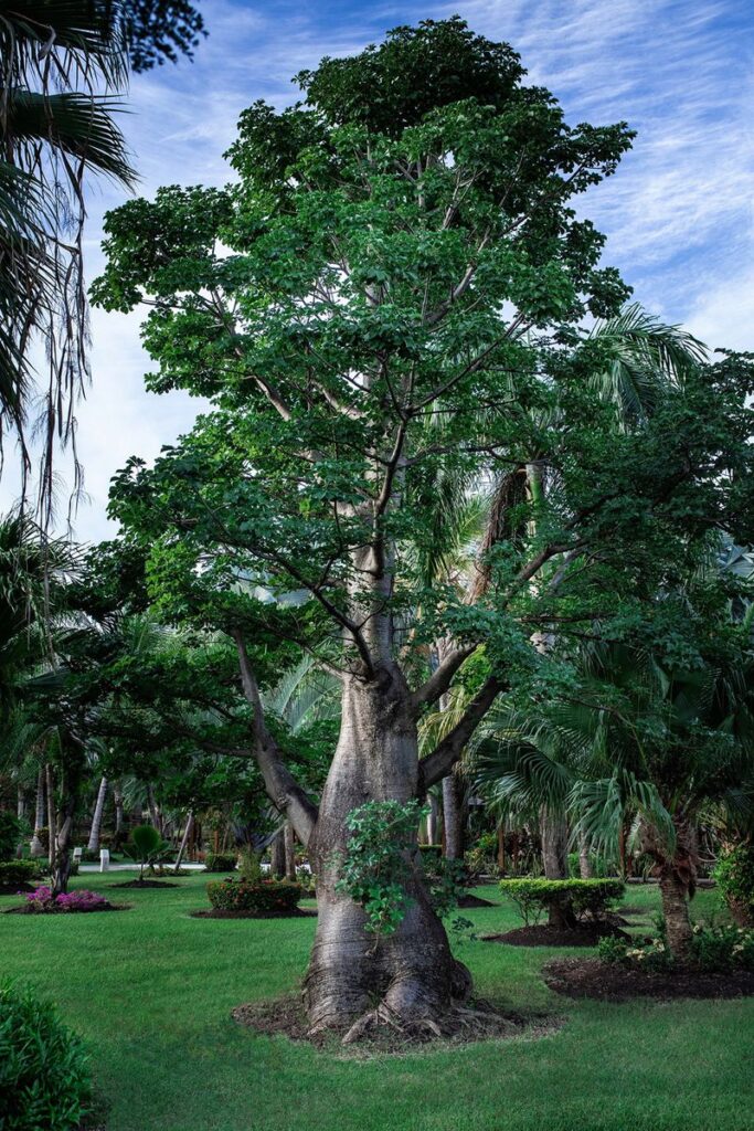 63c66bb2da4f72bcfd18e819__pd25050w2560h2560rframe_0be-p-800