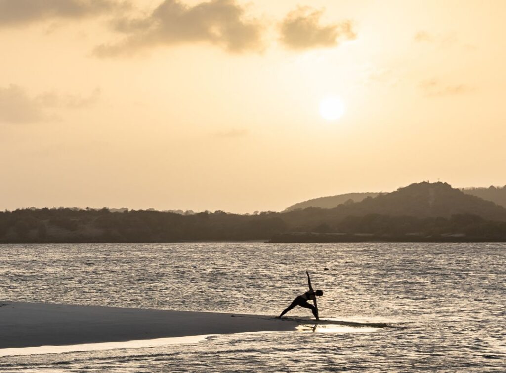 63ce9de2da2bff4edf0581a1__pd25242w2560h2560rframe_f26-p-1080