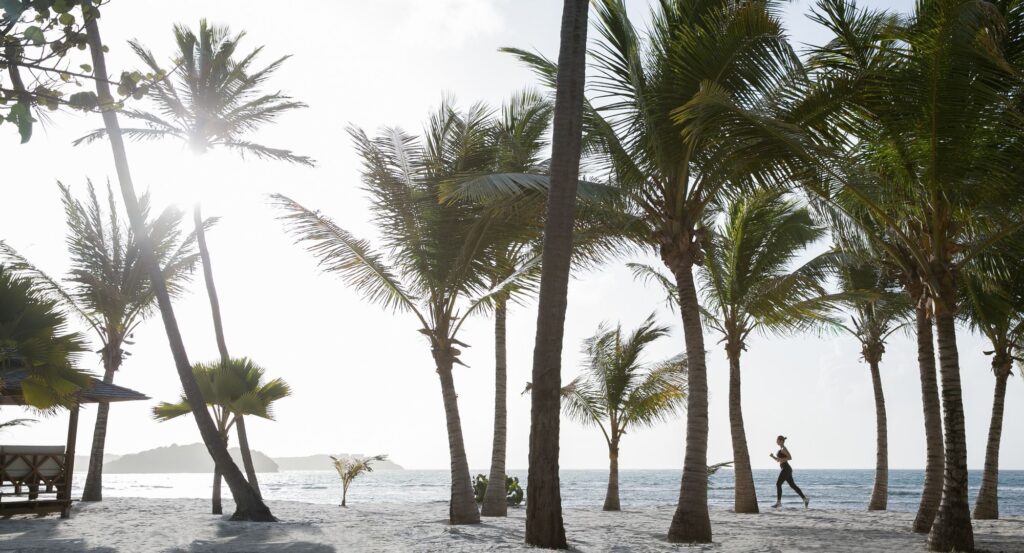 63ce9e5ef4a5c383d1c989d9__pd25244w2560h2560rframe_fca-p-2000